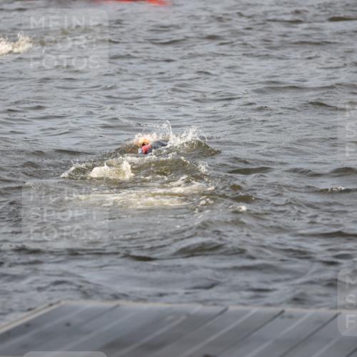 25.08.2024 - Elbe Triathlon Hamburg H.Heesch http://msf.ph/oto/6830345 25.08.2024 07:56:32 Schwimmen  meine-sportfotos.de