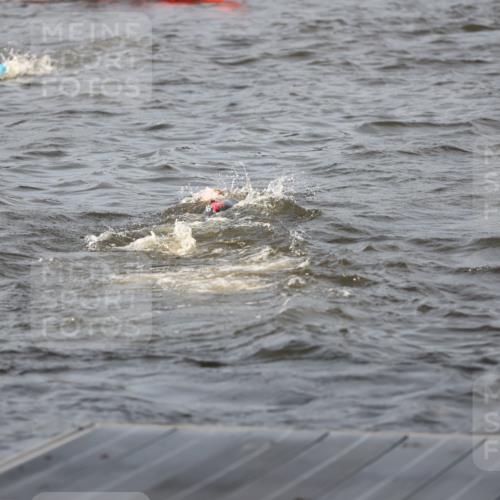25.08.2024 - Elbe Triathlon Hamburg H.Heesch http://msf.ph/oto/6830351 25.08.2024 07:56:32 Schwimmen  meine-sportfotos.de