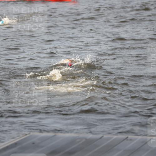25.08.2024 - Elbe Triathlon Hamburg H.Heesch http://msf.ph/oto/6830353 25.08.2024 07:56:32 Schwimmen  meine-sportfotos.de