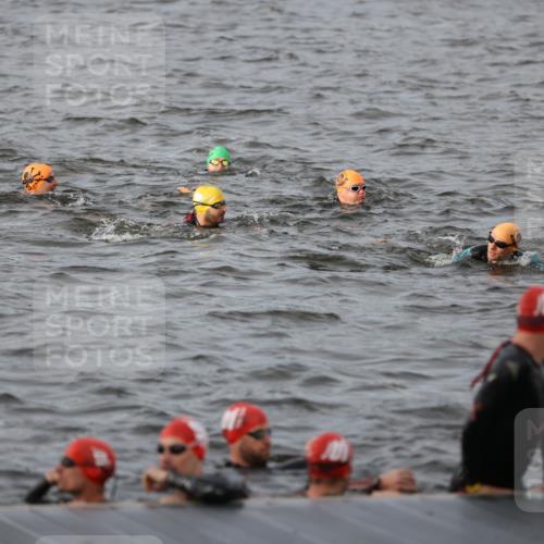 25.08.2024 - Elbe Triathlon Hamburg H.Heesch http://msf.ph/oto/6830679 25.08.2024 07:58:51 Schwimmen  meine-sportfotos.de