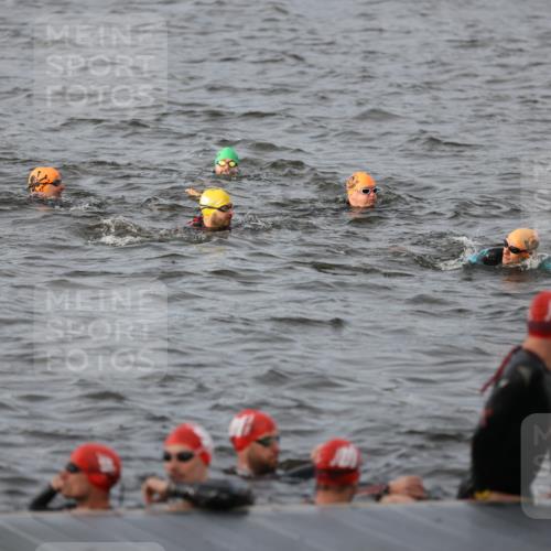 25.08.2024 - Elbe Triathlon Hamburg H.Heesch http://msf.ph/oto/6830684 25.08.2024 07:58:51 Schwimmen  meine-sportfotos.de