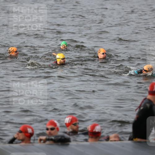 25.08.2024 - Elbe Triathlon Hamburg H.Heesch http://msf.ph/oto/6830686 25.08.2024 07:58:51 Schwimmen  meine-sportfotos.de