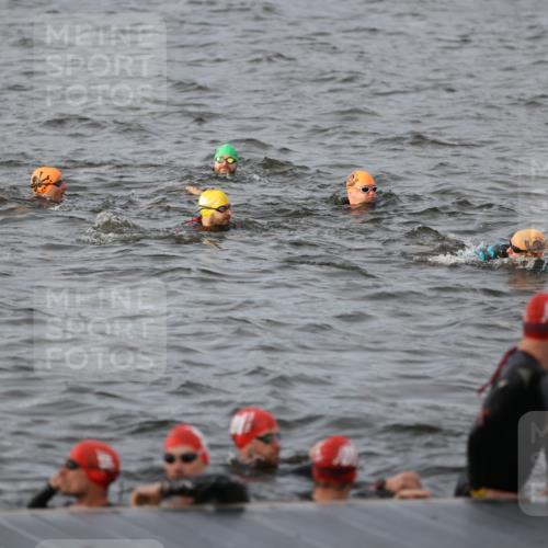 25.08.2024 - Elbe Triathlon Hamburg H.Heesch http://msf.ph/oto/6830692 25.08.2024 07:58:51 Schwimmen  meine-sportfotos.de