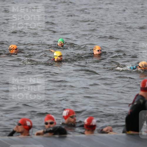 25.08.2024 - Elbe Triathlon Hamburg H.Heesch http://msf.ph/oto/6830694 25.08.2024 07:58:51 Schwimmen  meine-sportfotos.de