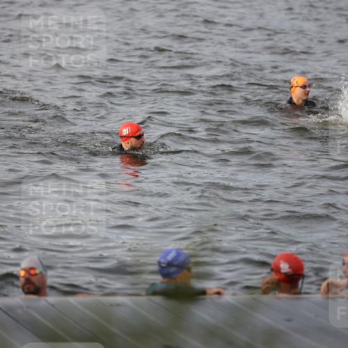 25.08.2024 - Elbe Triathlon Hamburg H.Heesch http://msf.ph/oto/6830698 25.08.2024 07:58:53 Schwimmen  meine-sportfotos.de