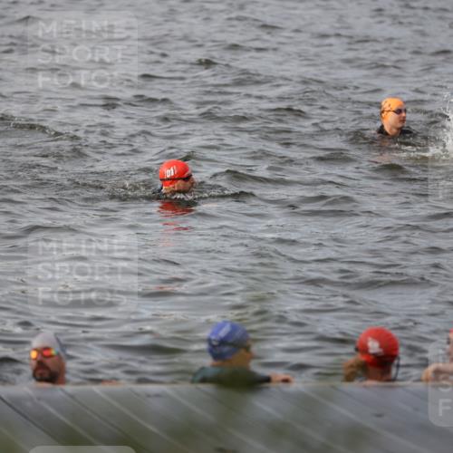 25.08.2024 - Elbe Triathlon Hamburg H.Heesch http://msf.ph/oto/6830704 25.08.2024 07:58:53 Schwimmen  meine-sportfotos.de