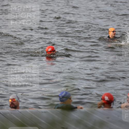 25.08.2024 - Elbe Triathlon Hamburg H.Heesch http://msf.ph/oto/6830708 25.08.2024 07:58:53 Schwimmen  meine-sportfotos.de