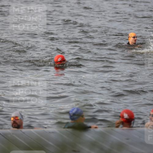 25.08.2024 - Elbe Triathlon Hamburg H.Heesch http://msf.ph/oto/6830711 25.08.2024 07:58:53 Schwimmen  meine-sportfotos.de