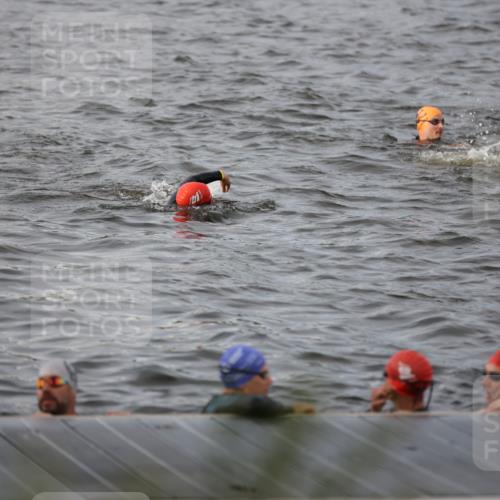 25.08.2024 - Elbe Triathlon Hamburg H.Heesch http://msf.ph/oto/6830721 25.08.2024 07:58:53 Schwimmen  meine-sportfotos.de