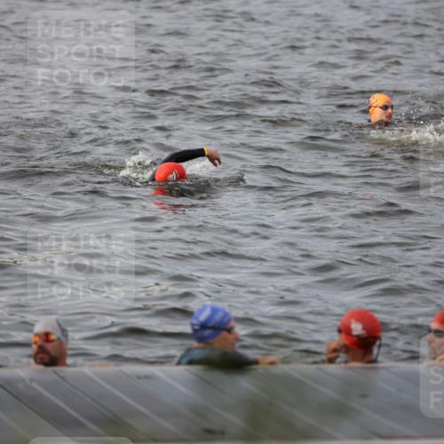 25.08.2024 - Elbe Triathlon Hamburg H.Heesch http://msf.ph/oto/6830726 25.08.2024 07:58:53 Schwimmen  meine-sportfotos.de