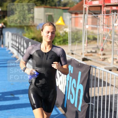 25.08.2024 - Elbe Triathlon Hamburg H.Heesch http://msf.ph/oto/6831009 25.08.2024 09:37:37 Schwimmen 471, 472, 488, 491, 493, 500, 509 meine-sportfotos.de