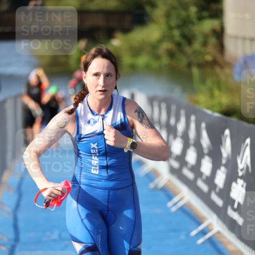 25.08.2024 - Elbe Triathlon Hamburg H.Heesch http://msf.ph/oto/6832476 25.08.2024 09:40:09 Schwimmen 477, 504, 518 meine-sportfotos.de