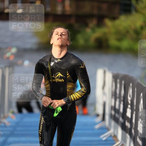 25.08.2024 - Elbe Triathlon Hamburg H.Heesch http://msf.ph/oto/6835760 25.08.2024 08:35:19 Schwimmen 41, 59, 74 meine-sportfotos.de