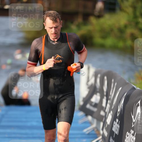 25.08.2024 - Elbe Triathlon Hamburg H.Heesch http://msf.ph/oto/6836055 25.08.2024 08:35:35 Schwimmen 41, 59, 74, 87 meine-sportfotos.de