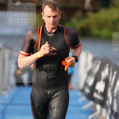 25.08.2024 - Elbe Triathlon Hamburg H.Heesch http://msf.ph/oto/6836109 25.08.2024 08:35:36 Schwimmen 41, 59, 74, 87 meine-sportfotos.de