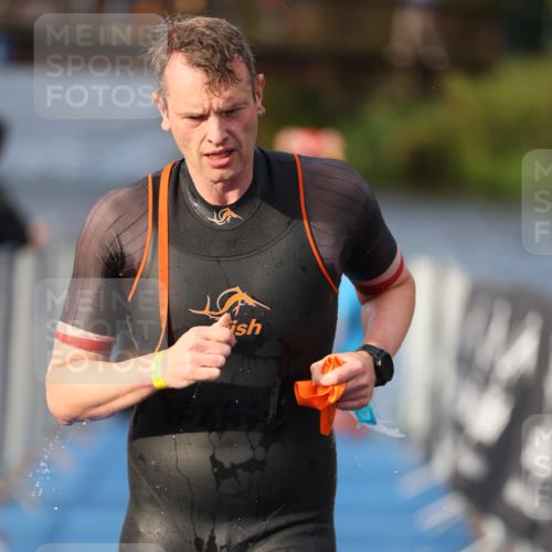 25.08.2024 - Elbe Triathlon Hamburg H.Heesch http://msf.ph/oto/6836163 25.08.2024 08:35:36 Schwimmen 41, 59, 74, 87 meine-sportfotos.de
