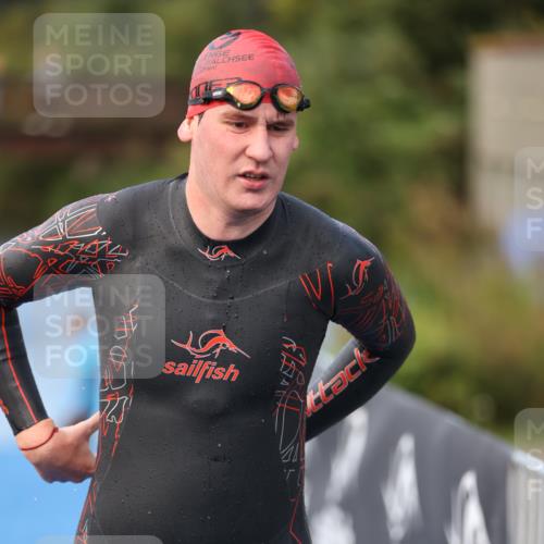 25.08.2024 - Elbe Triathlon Hamburg H.Heesch http://msf.ph/oto/6838157 25.08.2024 08:40:47 Schwimmen 62, 73, 107 meine-sportfotos.de