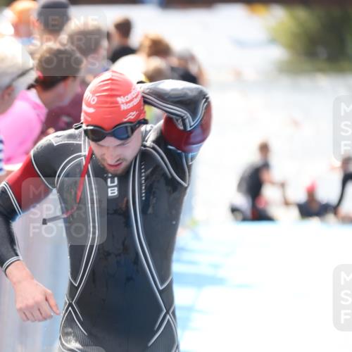 25.08.2024 - Elbe Triathlon Hamburg H.Heesch http://msf.ph/oto/6838536 25.08.2024 14:05:06 Schwimmen 1, 2, 8, 14, 25, 26, 31 meine-sportfotos.de