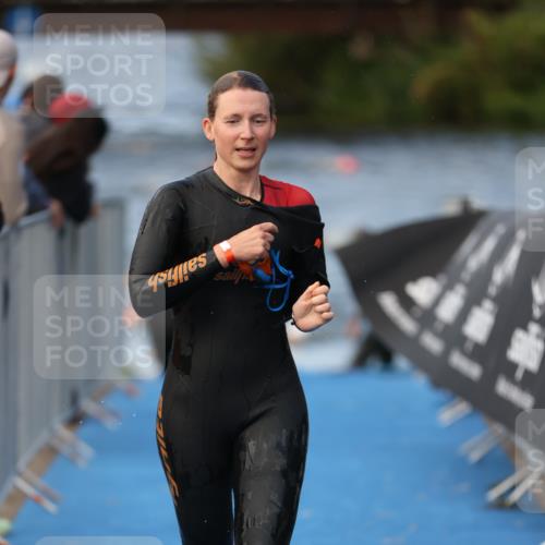 25.08.2024 - Elbe Triathlon Hamburg H.Heesch http://msf.ph/oto/6839237 25.08.2024 08:43:26 Schwimmen 117, 121, 142, 167, 190 meine-sportfotos.de