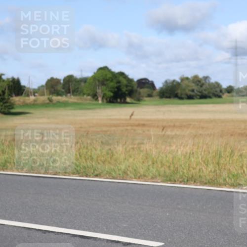 25.08.2024 - Elbe Triathlon Hamburg Fuchs,  Jonas http://msf.ph/oto/6841944 25.08.2024 09:40:26 Radfahren 261, 194 meine-sportfotos.de