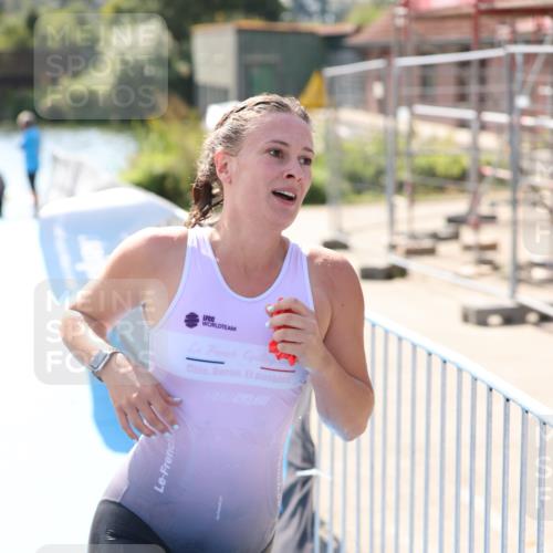 25.08.2024 - Elbe Triathlon Hamburg H.Heesch http://msf.ph/oto/6842108 25.08.2024 14:36:56 Schwimmen  meine-sportfotos.de