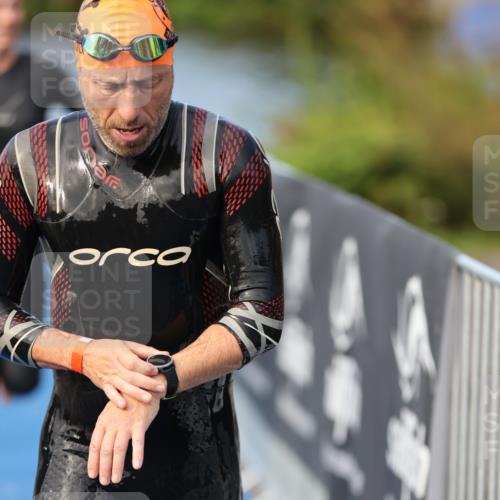 25.08.2024 - Elbe Triathlon Hamburg H.Heesch http://msf.ph/oto/6843696 25.08.2024 08:46:24 Schwimmen 113, 123, 131, 138, 149, 150, 160, 179, 184 meine-sportfotos.de