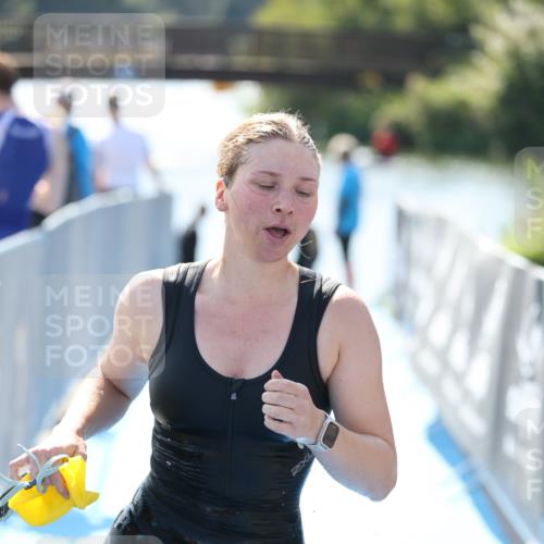 25.08.2024 - Elbe Triathlon Hamburg H.Heesch http://msf.ph/oto/6844308 25.08.2024 14:40:43 Schwimmen  meine-sportfotos.de