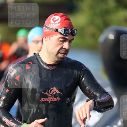 25.08.2024 - Elbe Triathlon Hamburg H.Heesch http://msf.ph/oto/6851369 25.08.2024 08:59:17 Schwimmen 202, 203, 204, 237, 261, 275, 278, 285, 298, 310, 316, 322 meine-sportfotos.de