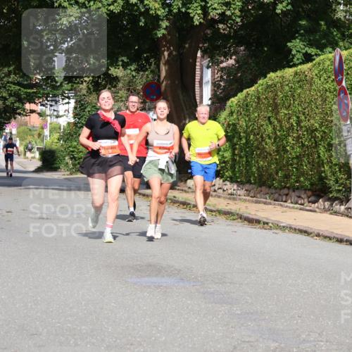25.08.2024 - 20. Blankeneser Heldenlauf Strokosch-Dieckow http://msf.ph/oto/6859258 25.08.2024 09:55:12 Ziel 245, 246, 258, 259 meine-sportfotos.de