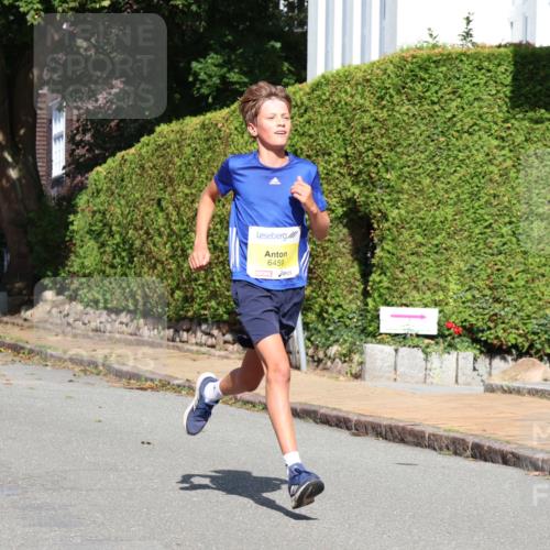 25.08.2024 - 20. Blankeneser Heldenlauf Strokosch-Dieckow http://msf.ph/oto/6861738 25.08.2024 10:17:06 Ziel 6273, 6457, 6459 meine-sportfotos.de