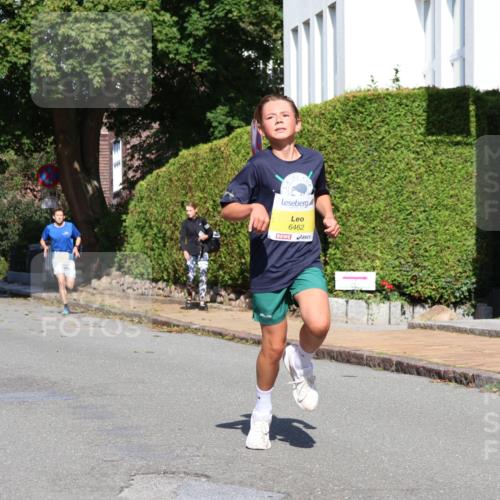 25.08.2024 - 20. Blankeneser Heldenlauf Strokosch-Dieckow http://msf.ph/oto/6862605 25.08.2024 10:20:45 Ziel 6348, 6359, 6462, 6520 meine-sportfotos.de