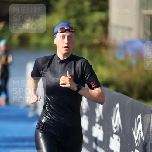 25.08.2024 - Elbe Triathlon Hamburg H.Heesch http://msf.ph/oto/6863673 25.08.2024 09:34:20 Schwimmen 462, 476, 483, 494, 495, 516, 520, 539, 550 meine-sportfotos.de