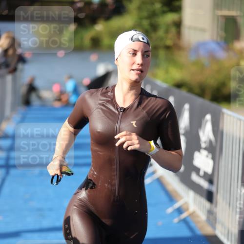 25.08.2024 - Elbe Triathlon Hamburg H.Heesch http://msf.ph/oto/6864180 25.08.2024 09:35:31 Schwimmen 461, 473, 514, 532, 547 meine-sportfotos.de