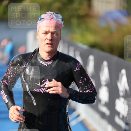25.08.2024 - Elbe Triathlon Hamburg H.Heesch http://msf.ph/oto/6864518 25.08.2024 09:36:01 Schwimmen 487, 521, 532, 540 meine-sportfotos.de