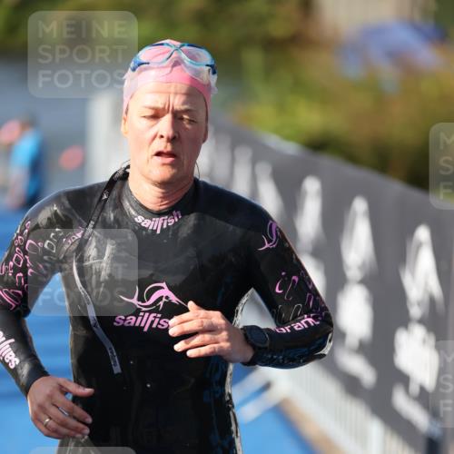 25.08.2024 - Elbe Triathlon Hamburg H.Heesch http://msf.ph/oto/6864524 25.08.2024 09:36:01 Schwimmen 487, 521, 532, 540 meine-sportfotos.de