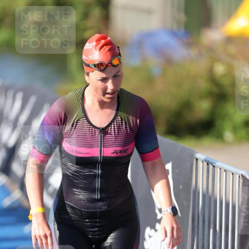 25.08.2024 - Elbe Triathlon Hamburg H.Heesch http://msf.ph/oto/6864946 25.08.2024 09:36:36 Schwimmen 478, 501, 517, 523, 533 meine-sportfotos.de