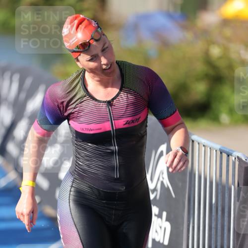 25.08.2024 - Elbe Triathlon Hamburg H.Heesch http://msf.ph/oto/6864962 25.08.2024 09:36:36 Schwimmen 478, 501, 517, 523, 533 meine-sportfotos.de