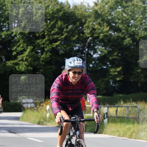 25.08.2024 - Elbe Triathlon Hamburg Fuchs,  Jonas http://msf.ph/oto/6867186 25.08.2024 10:58:09 Radfahren 1593, 1672, 676 meine-sportfotos.de
