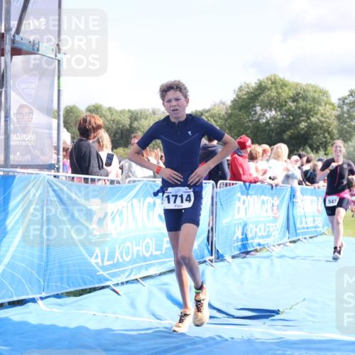 25.08.2024 - Elbe Triathlon Hamburg H.Heesch http://msf.ph/oto/6870909 25.08.2024 11:58:47 Ziel 517, 543, 1591, 1714 meine-sportfotos.de