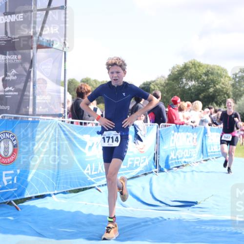 25.08.2024 - Elbe Triathlon Hamburg H.Heesch http://msf.ph/oto/6870932 25.08.2024 11:58:47 Ziel 517, 543, 1591, 1714 meine-sportfotos.de