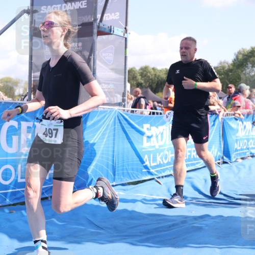 25.08.2024 - Elbe Triathlon Hamburg H.Heesch http://msf.ph/oto/6874767 25.08.2024 11:39:31 Ziel 304, 497, 507, 673, 707 meine-sportfotos.de