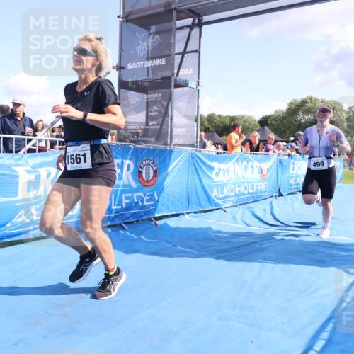25.08.2024 - Elbe Triathlon Hamburg H.Heesch http://msf.ph/oto/6877211 25.08.2024 11:45:29 Ziel 499, 1561 meine-sportfotos.de
