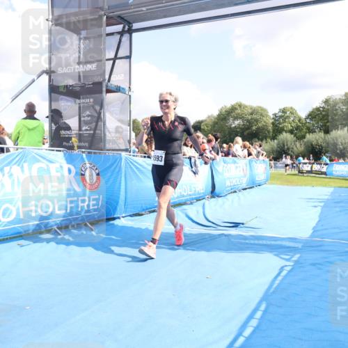 25.08.2024 - Elbe Triathlon Hamburg H.Heesch http://msf.ph/oto/6878279 25.08.2024 12:10:25 Ziel 1593, 1624, 1638 meine-sportfotos.de