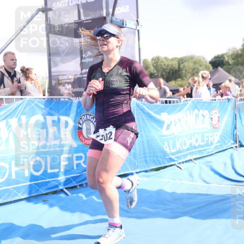 25.08.2024 - Elbe Triathlon Hamburg H.Heesch http://msf.ph/oto/6880701 25.08.2024 11:55:13 Ziel 540, 675, 1529, 1537, 1630, 1702 meine-sportfotos.de