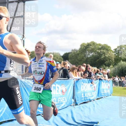 25.08.2024 - Elbe Triathlon Hamburg H.Heesch http://msf.ph/oto/6885212 25.08.2024 11:23:49 Ziel 560, 612 meine-sportfotos.de