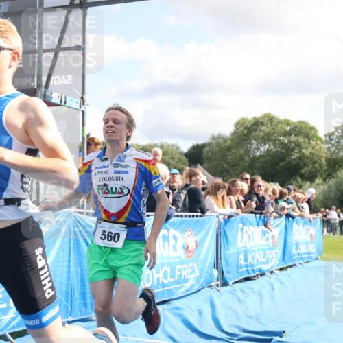 25.08.2024 - Elbe Triathlon Hamburg H.Heesch http://msf.ph/oto/6885214 25.08.2024 11:23:49 Ziel 560, 612 meine-sportfotos.de