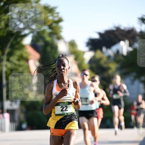 01.09.2024 - BARMER Alsterlauf Dr. Thomas Lammeyer http://msf.ph/oto/6886979 01.09.2024 09:17:41 Laufen 2, 35, 22 meine-sportfotos.de