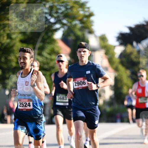 01.09.2024 - BARMER Alsterlauf Dr. Thomas Lammeyer http://msf.ph/oto/6887400 01.09.2024 09:20:01 Laufen 0, 35, 2524, 3683, 2906 meine-sportfotos.de