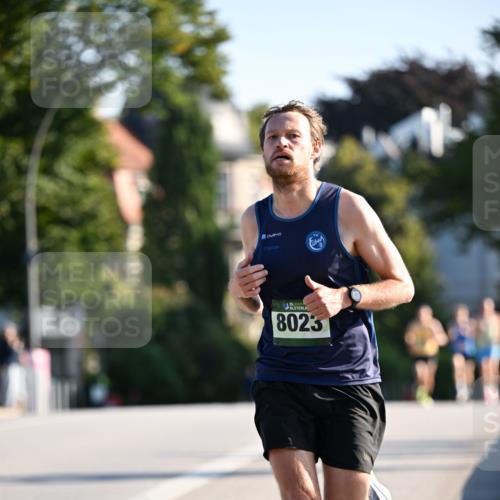 01.09.2024 - BARMER Alsterlauf Dr. Thomas Lammeyer http://msf.ph/oto/6887442 01.09.2024 09:20:09 Laufen 8023 meine-sportfotos.de