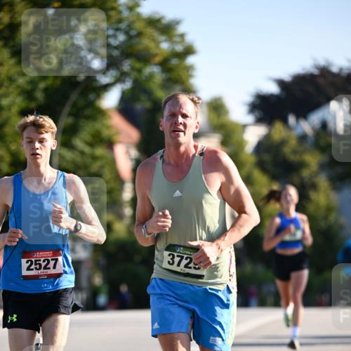01.09.2024 - BARMER Alsterlauf Dr. Thomas Lammeyer http://msf.ph/oto/6887466 01.09.2024 09:20:19 Laufen 8, 135, 2527, 3725 meine-sportfotos.de